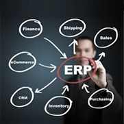 ERP Consulting